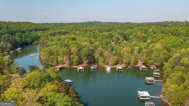 4650 Perry Rd, Gainesville, GA 30506 - aerial view with a water view and a view of trees