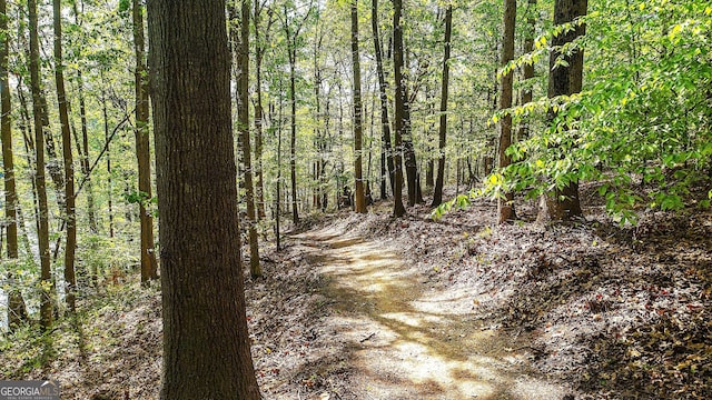 4650 Perry Rd, Gainesville, GA 30506 - view of woods