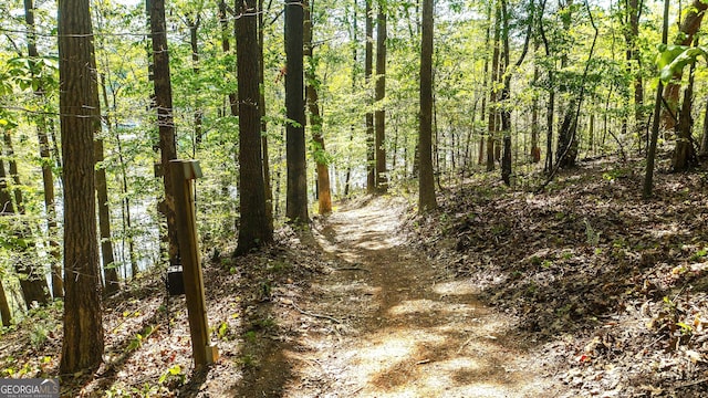 4650 Perry Rd, Gainesville, GA 30506 - view of local wilderness with a forest view