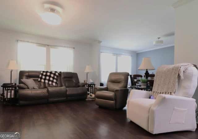 4650 Perry Rd, Gainesville, GA 30506 - living room with ornamental molding and wood finished floors