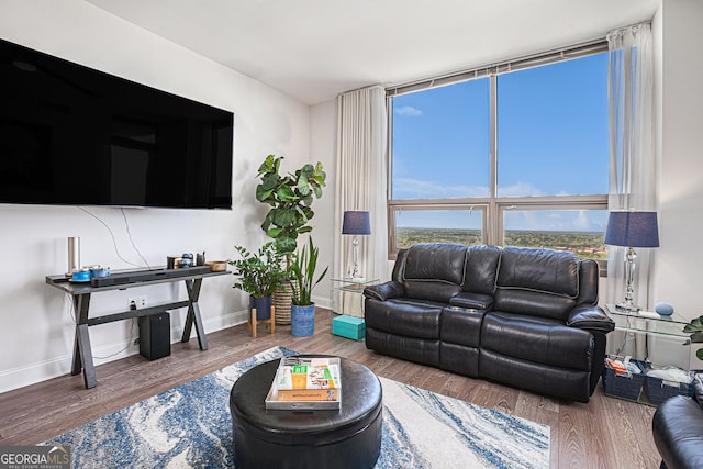 living room with a wall of windows, wood finished floors, and baseboards