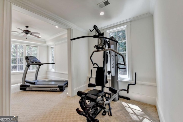workout room with ornamental molding, visible vents, carpet, and a healthy amount of sunlight