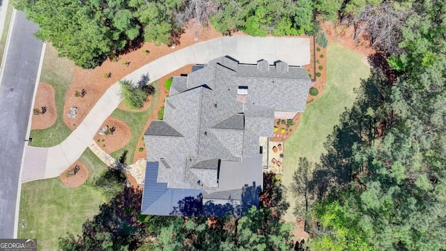 bird's eye view