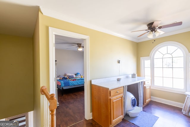 laundry area with crown molding, ceiling fan, laundry area, and dark wood-style floors