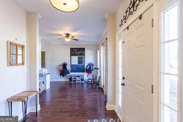 foyer featuring crown molding, a healthy amount of sunlight, baseboards, and dark wood finished floors