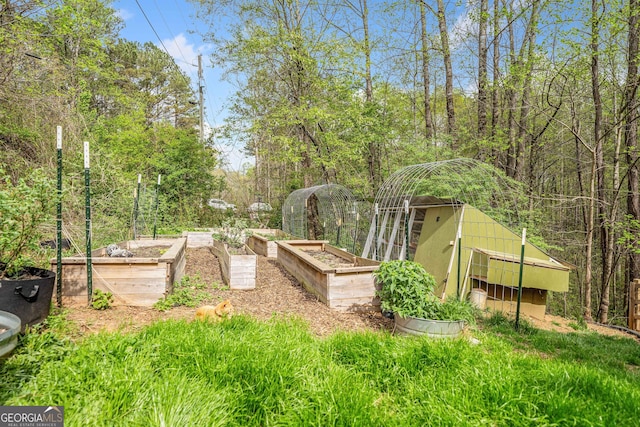 524 Allison Ln, Ball Ground, GA 30107 - view of yard with a vegetable garden