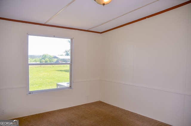 2055 Payne Pond Rd, Weston, GA 31832 - view of carpeted spare room