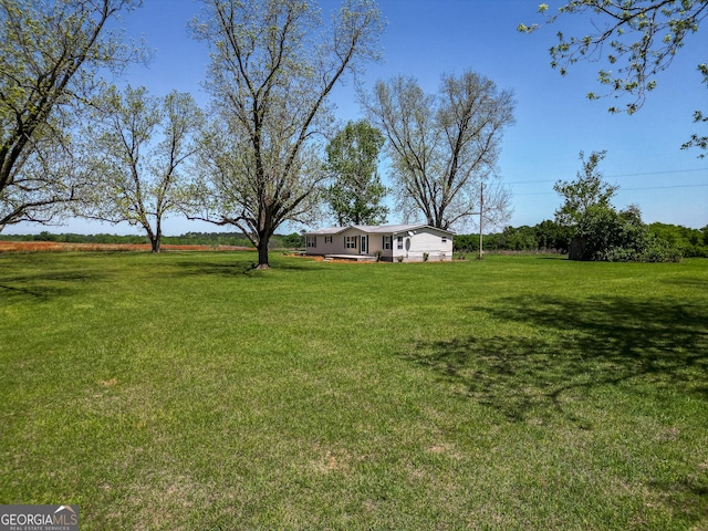 2055 Payne Pond Rd, Weston, GA 31832 - view of yard