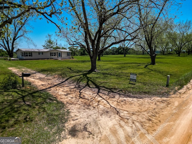 2055 Payne Pond Rd, Weston, GA 31832 - view of yard