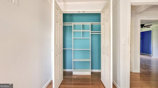view of closet