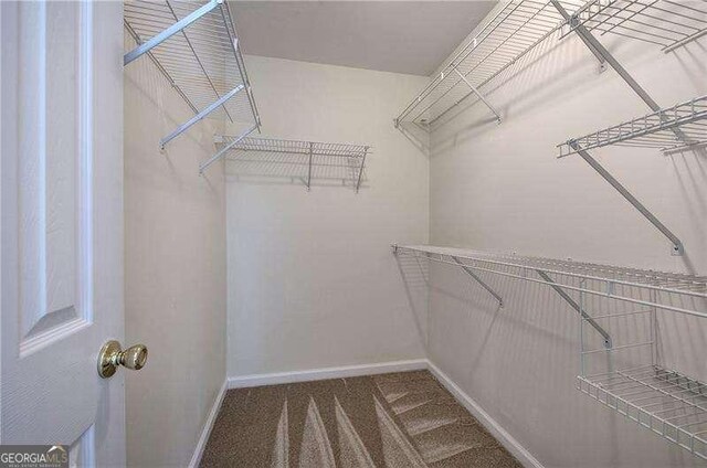 spacious closet with carpet