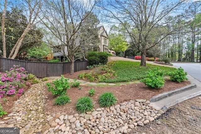 3749 Watkins Pl NE, Brookhaven, GA 30319 - view of yard