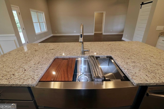 details with a sink, wood finished floors, a barn door, and light stone counters