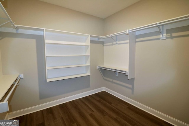 walk in closet with dark wood finished floors