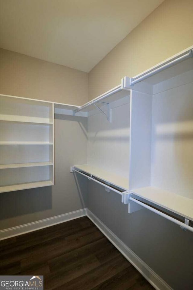 walk in closet featuring dark wood-type flooring