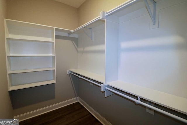 spacious closet featuring dark wood finished floors