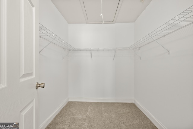 503 Madison Ct Unit 503, Smyrna, GA 30080 - walk in closet featuring carpet and attic access