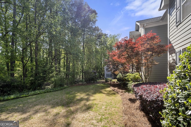 503 Madison Ct Unit 503, Smyrna, GA 30080 - view of yard