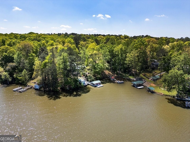 2 Blue Heron Dr, Monticello, GA 31064 - bird's eye view featuring a forest view and a water view