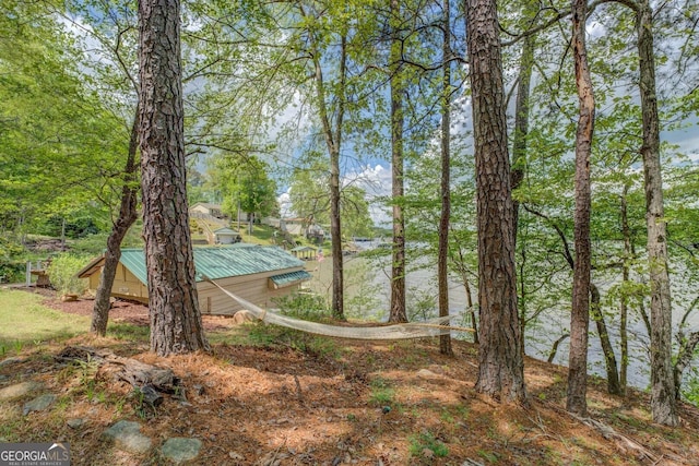 2 Blue Heron Dr, Monticello, GA 31064 - view of water feature