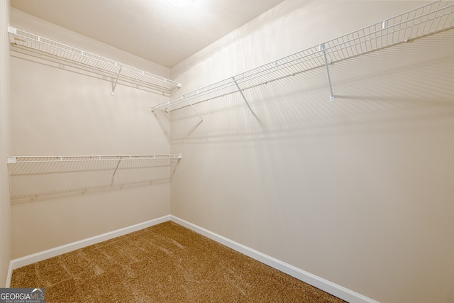 spacious closet with carpet floors