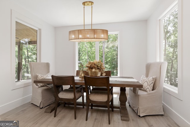 5535 Chestatee Landing Way, Gainesville, GA 30506 - dining space with plenty of natural light, light wood-style floors, and baseboards