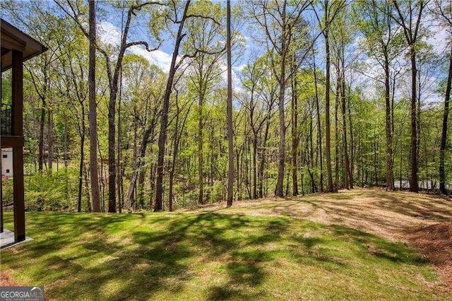 5535 Chestatee Landing Way, Gainesville, GA 30506 - view of grassy yard featuring a view of trees