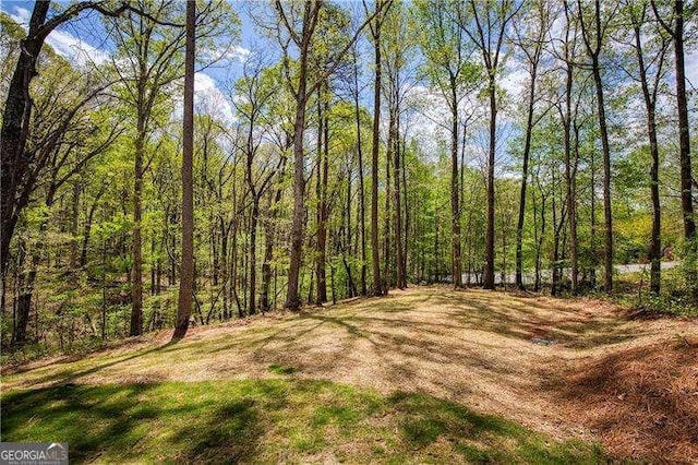 5535 Chestatee Landing Way, Gainesville, GA 30506 - view of wooded area