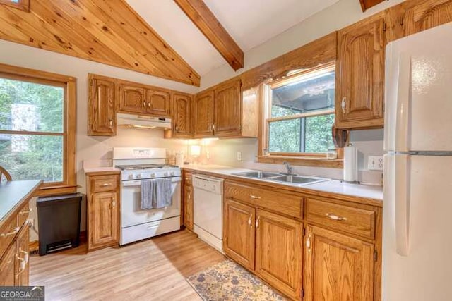 83 Smokey Creek Cv Tract B, Unit Tract B, Blairsville, GA 30512 - kitchen featuring white appliances, under cabinet range hood, a sink, light countertops, and light wood-style floors