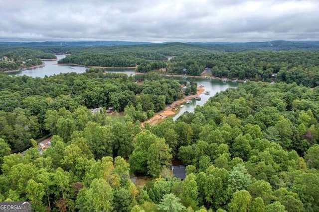 83 Smokey Creek Cv Tract B, Unit Tract B, Blairsville, GA 30512 - bird's eye view of a forest and a nearby body of water