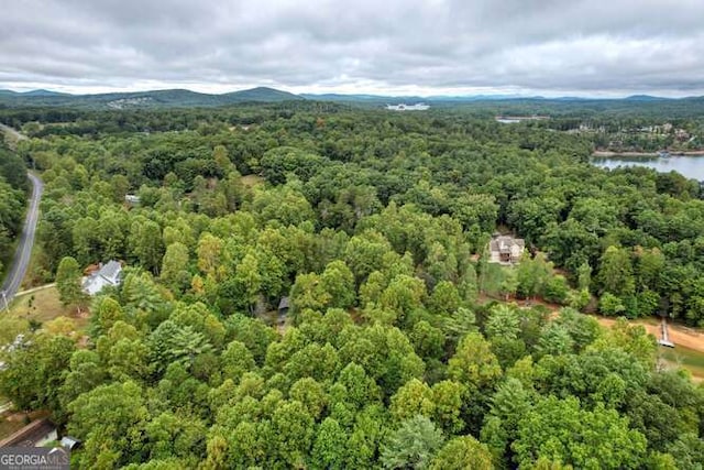 83 Smokey Creek Cv Tract B, Unit Tract B, Blairsville, GA 30512 - aerial view of a heavily wooded area and a large body of water