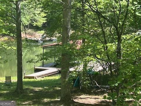 83 Smokey Creek Cv Tract B, Unit Tract B, Blairsville, GA 30512 - view of dock area