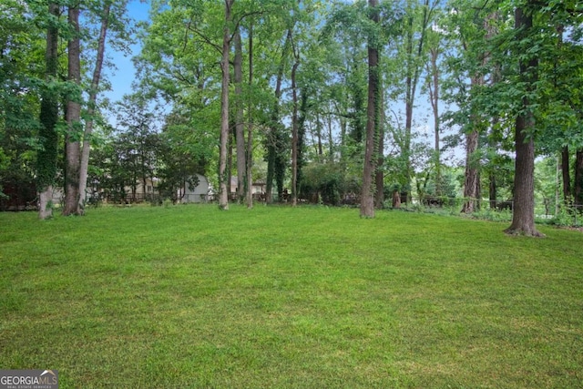 2732 Elkhorn Dr, Decatur, GA 30034 - view of yard with fence