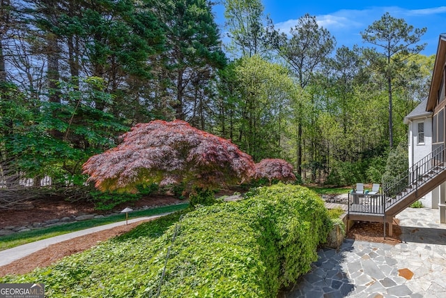 view of yard featuring a patio area and stairs