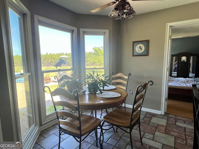 dining space with a healthy amount of sunlight, stone finish floor, baseboards, and ceiling fan