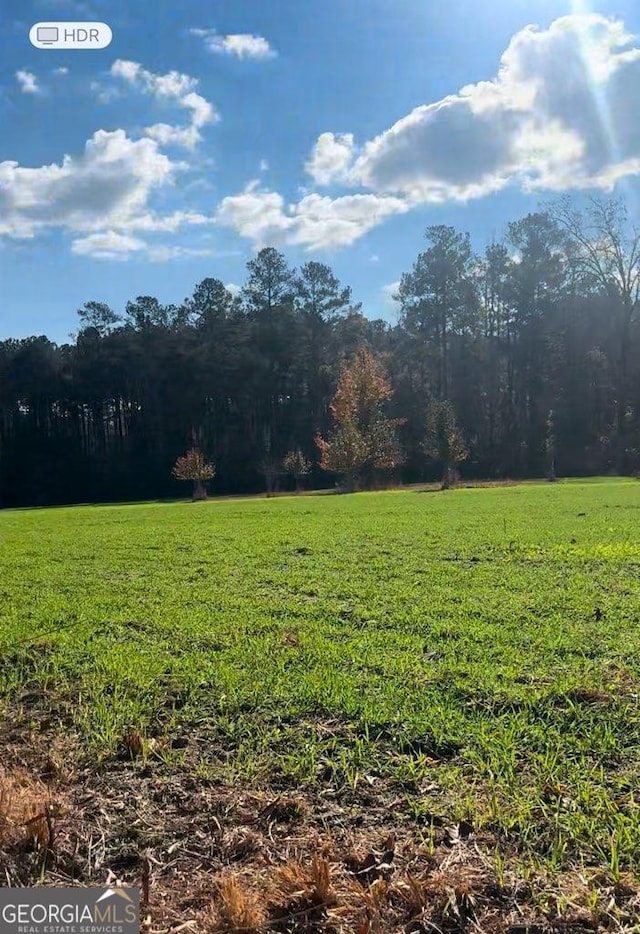 142 Johnson Rd, Warrenton, GA 30828