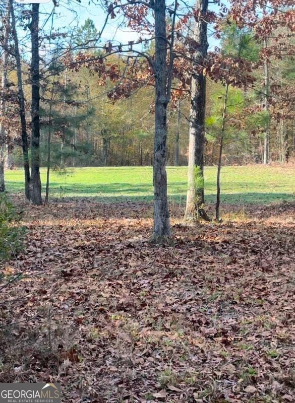 142 Johnson Rd, Warrenton, GA 30828