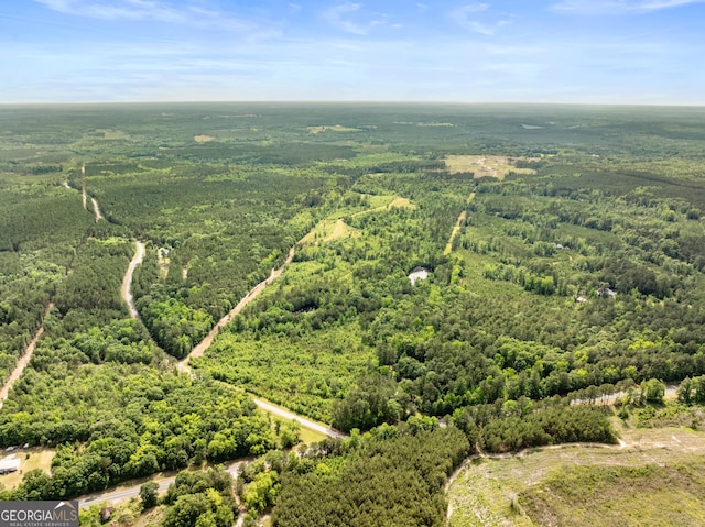 142 Johnson Rd, Warrenton, GA 30828