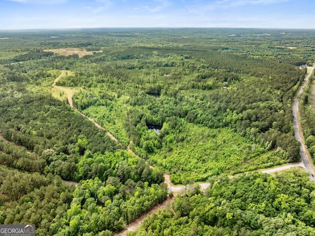 142 Johnson Rd, Warrenton, GA 30828