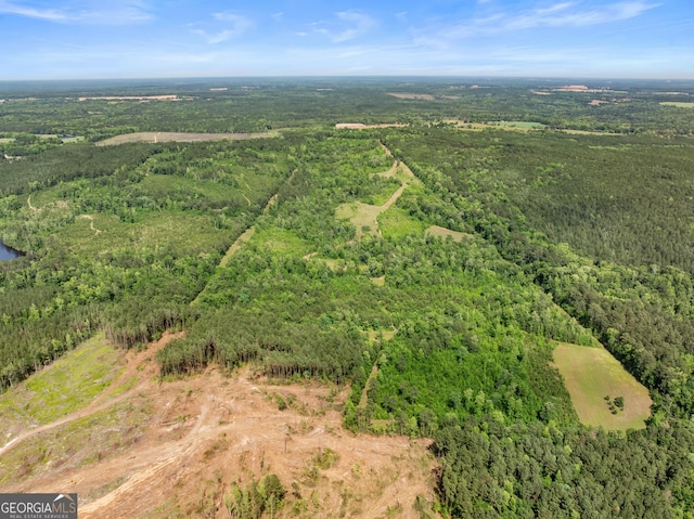 142 Johnson Rd, Warrenton, GA 30828