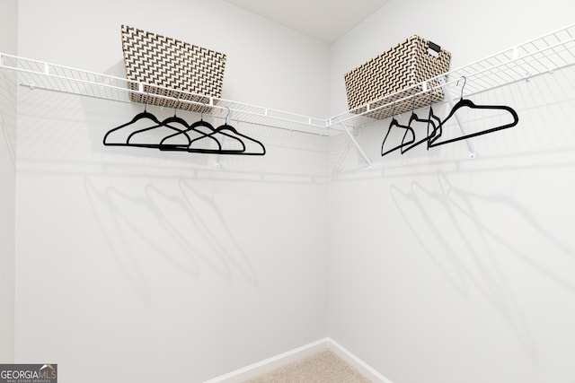 spacious closet featuring carpet