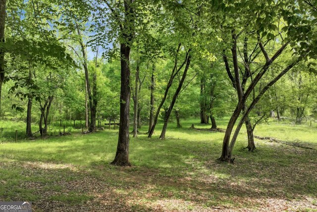 1055 River Bluff Dr, Winder, GA 30680 - view of landscape