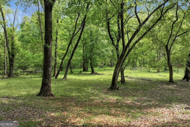 1055 River Bluff Dr, Winder, GA 30680 - view of local wilderness featuring a forest view
