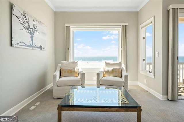 sitting room with baseboards, ornamental molding, and carpet floors