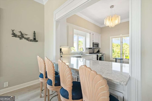 kitchen with crown molding, a sink, and stainless steel appliances
