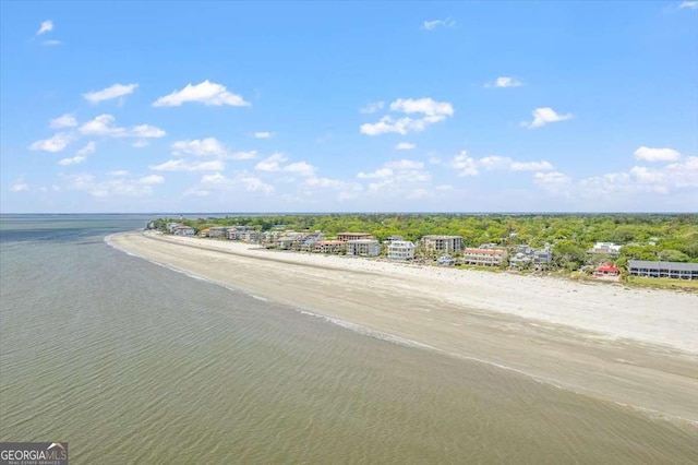 water view featuring a beach view