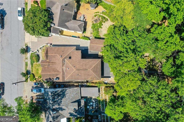 bird's eye view