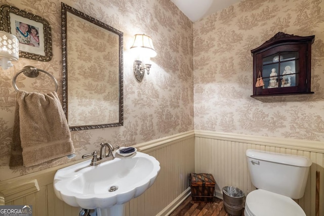 half bath featuring wainscoting, wood finished floors, a sink, and toilet