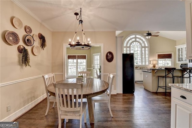 dining space with a wealth of natural light, dark wood-style floors, and ceiling fan with notable chandelier