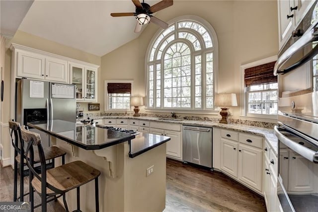 kitchen with stainless steel appliances, a sink, ceiling fan, and dark wood-style flooring